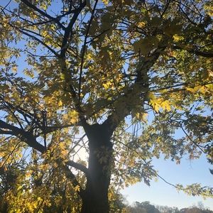 Meet your Posher, Ashira